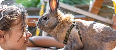 Blog kiemelt kép - 1